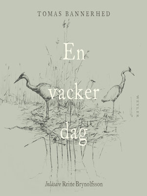 cover image of En vacker dag